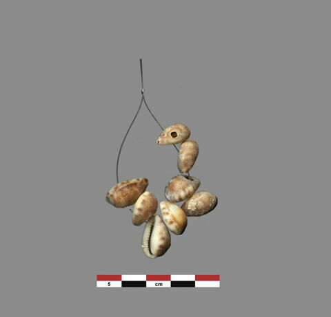 coquillage ; perle