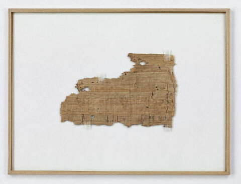 papyrus, image 2/2