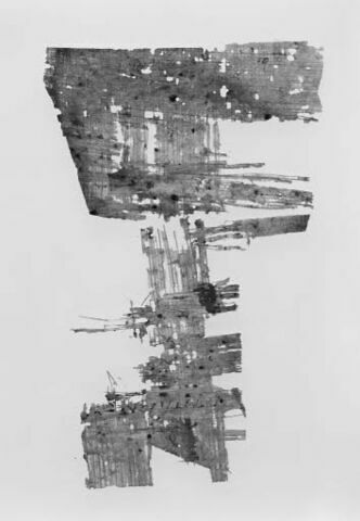 papyrus, image 4/4