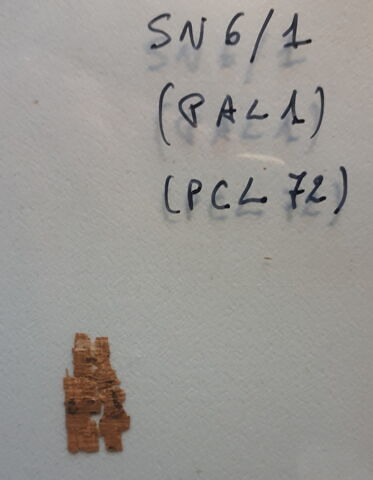 papyrus, image 3/3