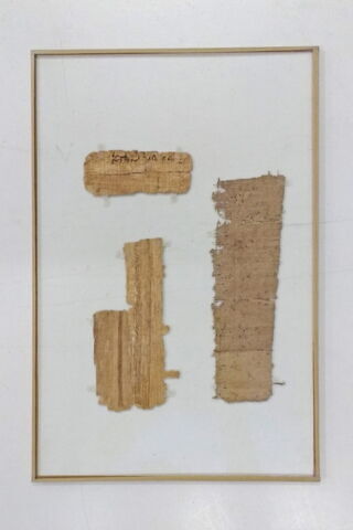 papyrus, image 2/2