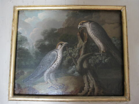 Deux faucons, image 2/2