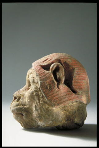 Tête de singe avec un bonnet rouge et blanc, image 5/6