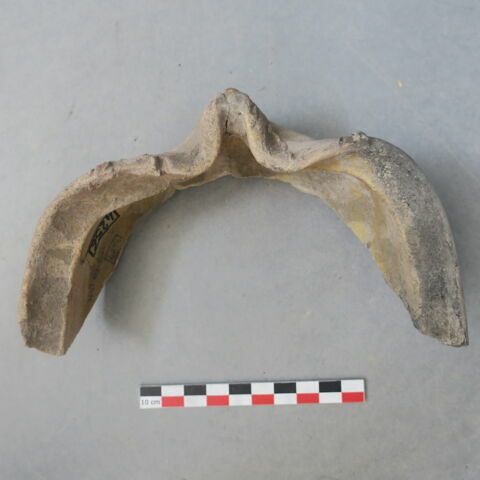 lèche-frite, fragment, image 2/3
