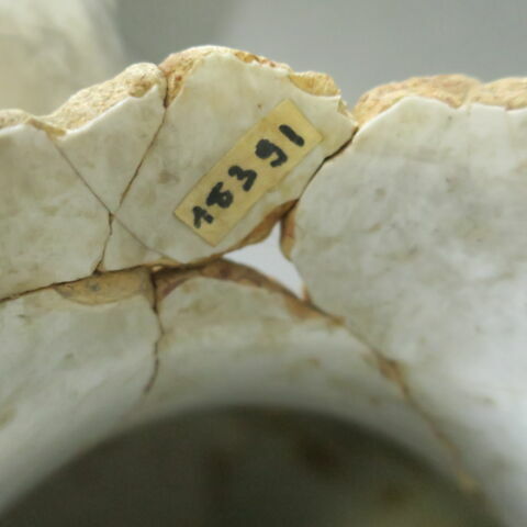 broc, image 5/6