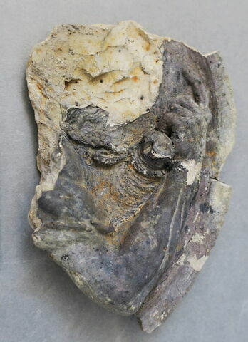 sculpture, fragment ; élément d'architecture, décor intérieur et extérieur, huisserie