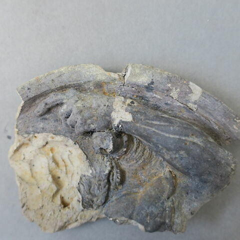 sculpture, fragment ; élément d'architecture, décor intérieur et extérieur, huisserie, image 3/4