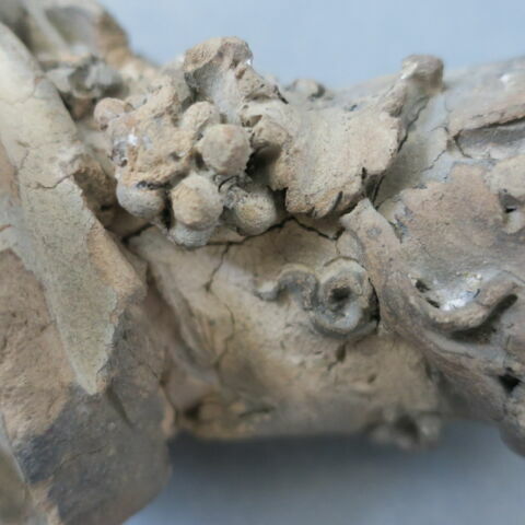 sculpture, fragment