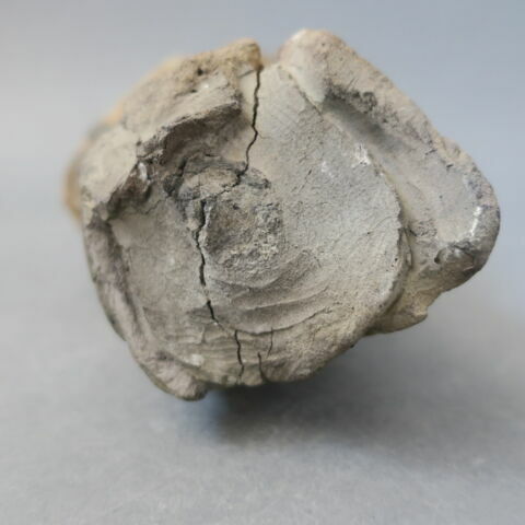 sculpture, fragment, image 4/9