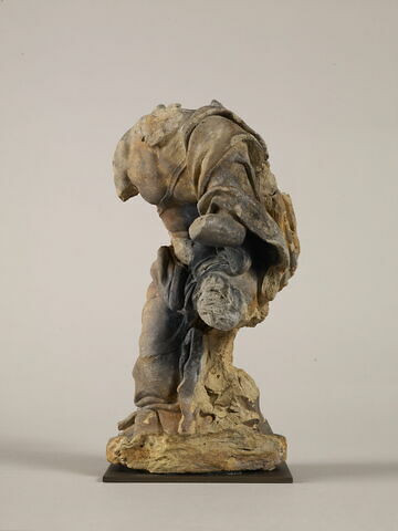 Angelot acéphale, image 18/22