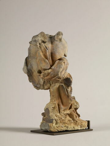 Angelot acéphale, image 5/22