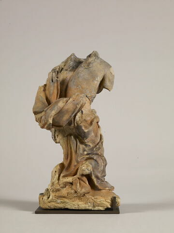Angelot acéphale, image 6/22