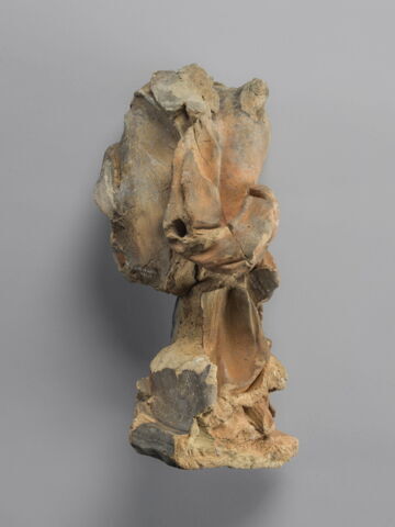 Angelot acéphale, image 2/16