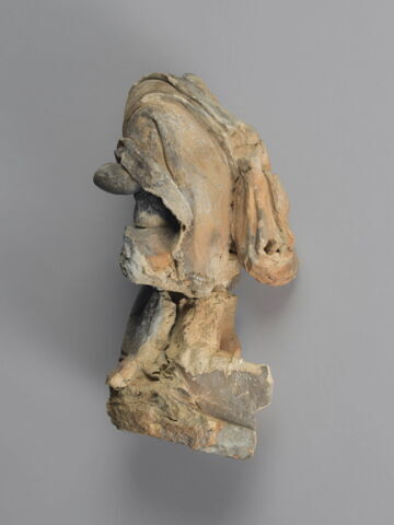 Angelot acéphale, image 4/16