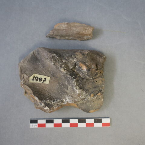 sculpture, fragment, image 3/4