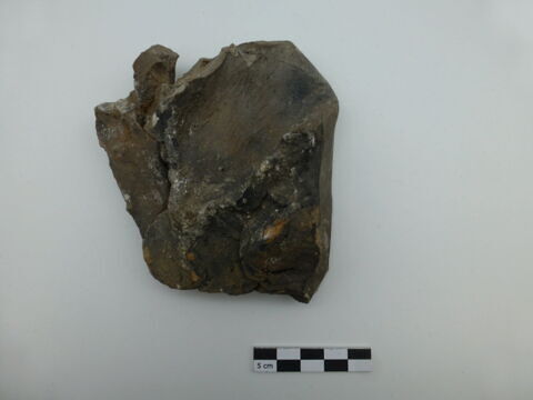 sculpture, fragment, image 2/4
