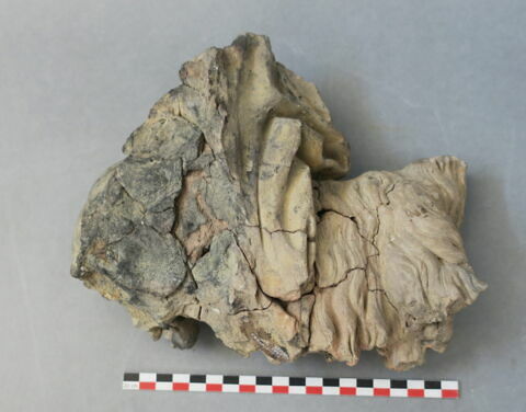 sculpture, fragment