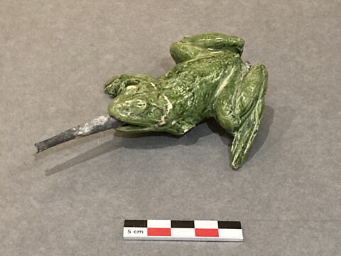 Grenouille de fontaine, image 5/9