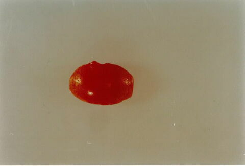 perle, fragment, image 2/2