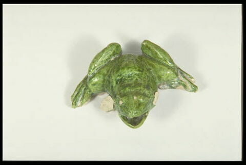 Grenouille de fontaine, image 5/8