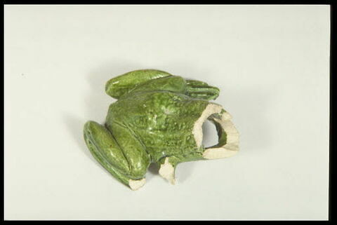Grenouille de fontaine, image 5/8