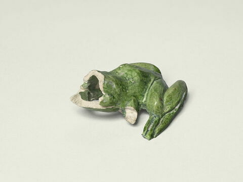 Grenouille de fontaine