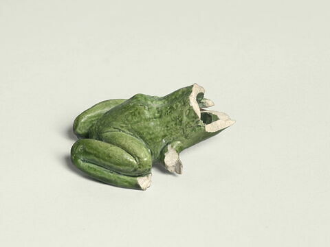 Grenouille de fontaine, image 4/8