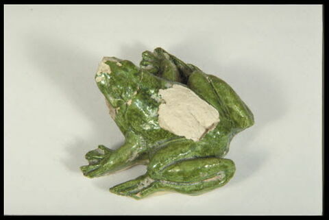 Grenouille de fontaine, image 7/8