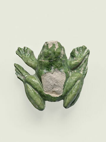 Grenouille de fontaine, image 2/8