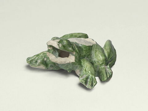Grenouille de fontaine