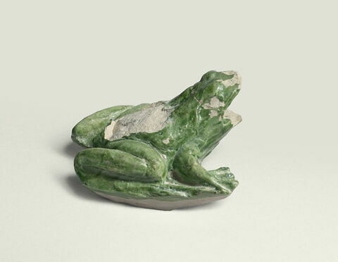 Grenouille de fontaine, image 3/8