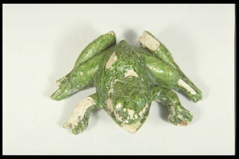 Grenouille de fontaine, image 4/7