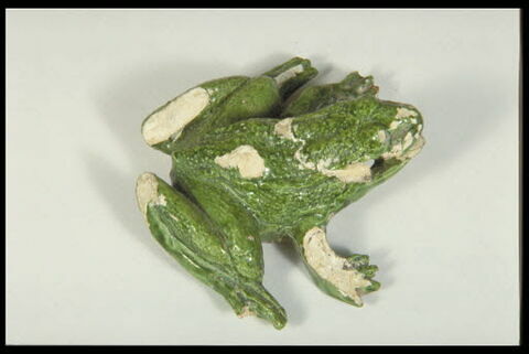 Grenouille de fontaine, image 5/7