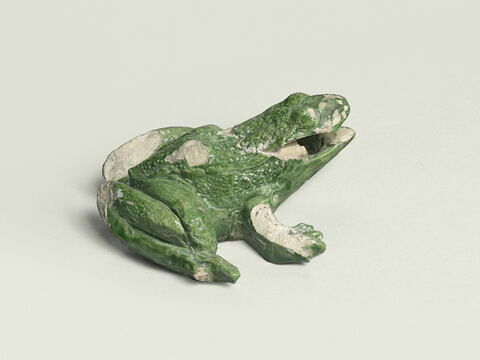 Grenouille de fontaine