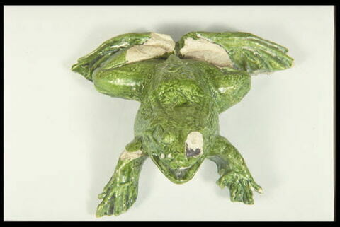 Grenouille de fontaine, image 5/8