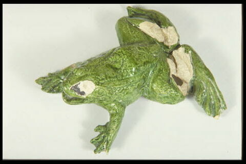 Grenouille de fontaine, image 6/8