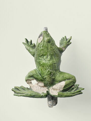 Grenouille de fontaine