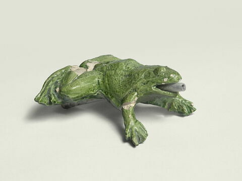 Grenouille de fontaine, image 4/8