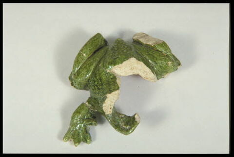 Grenouille de fontaine, image 5/8