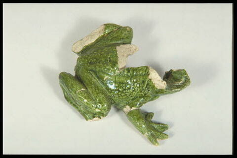 Grenouille de fontaine, image 6/8