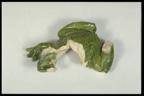 Grenouille de fontaine, image 7/8