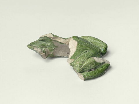 Grenouille de fontaine, image 3/8