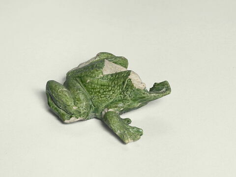 Grenouille de fontaine, image 4/8