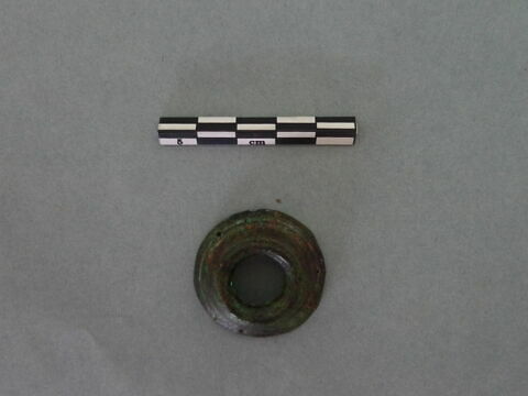 cupule, image 2/3