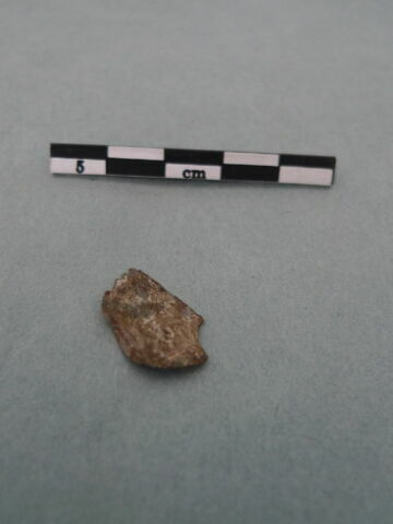 monnaie, fragment, image 3/3