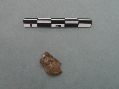 monnaie, fragment, image 2/3