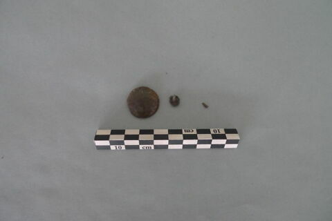 cupule ; clou, image 3/3