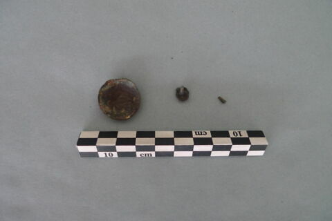 cupule ; clou, image 2/3