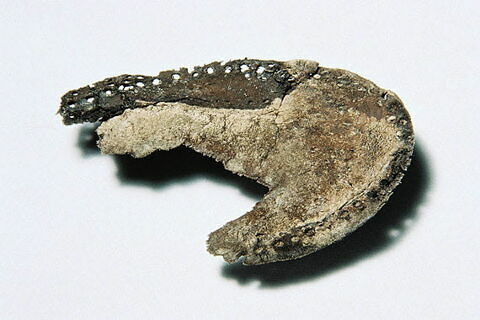 chaussure, fragment, image 2/2