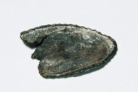 semelle de chaussure, fragment